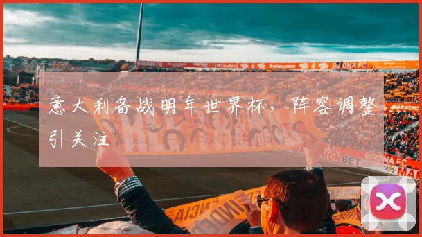 意大利备战明年世界杯，阵容调整引关注