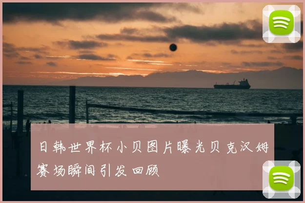 日韩世界杯小贝图片曝光贝克汉姆赛场瞬间引发回顾