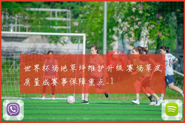 世界杯场地草坪维护升级 赛场草皮质量成赛事保障重点_1