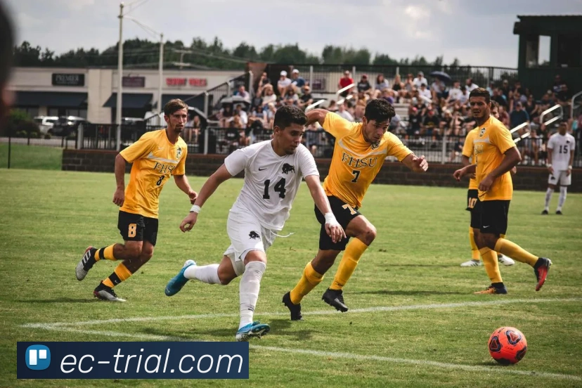 世界杯平台官网登录服务体系