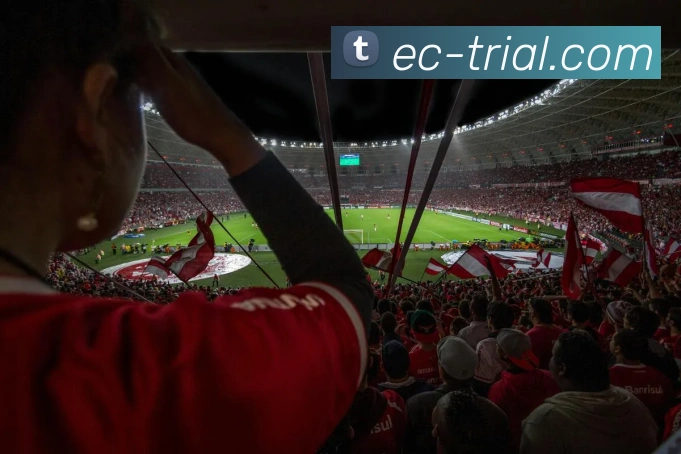 多媒体互动体验